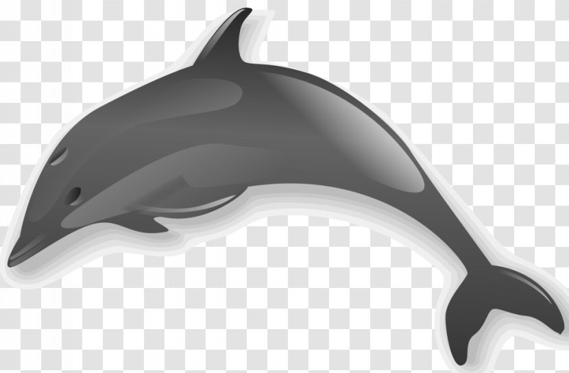 Common Bottlenose Dolphin Wholphin Clip Art Transparent PNG