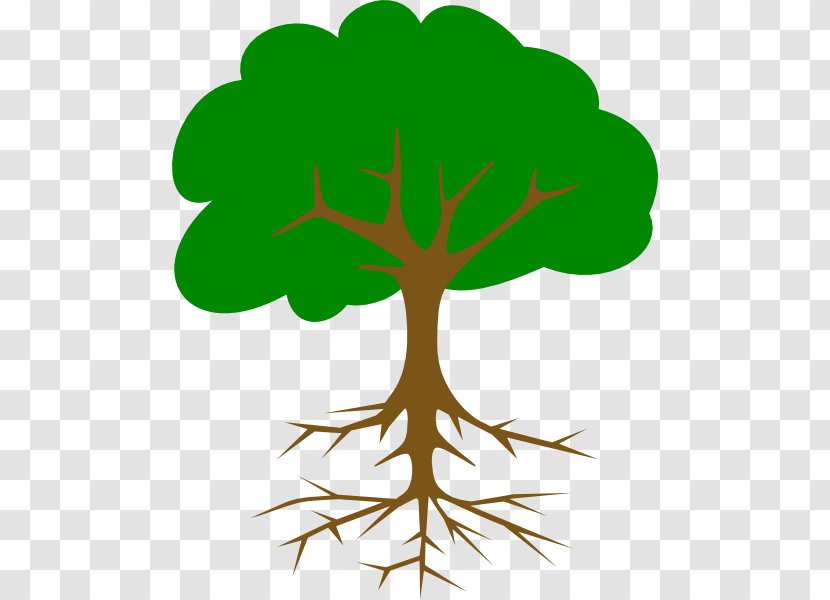 Clip Art Drawing Tree Image - Cartoon Transparent PNG