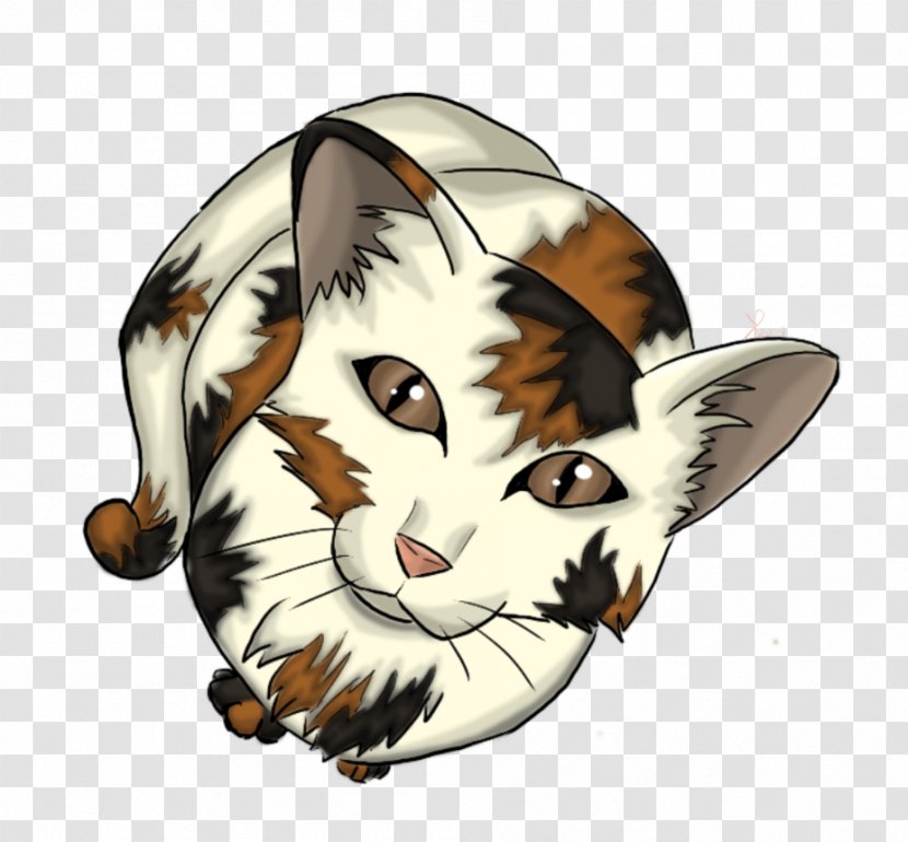 Whiskers Cat Illustration Cartoon Insect - Like Mammal Transparent PNG