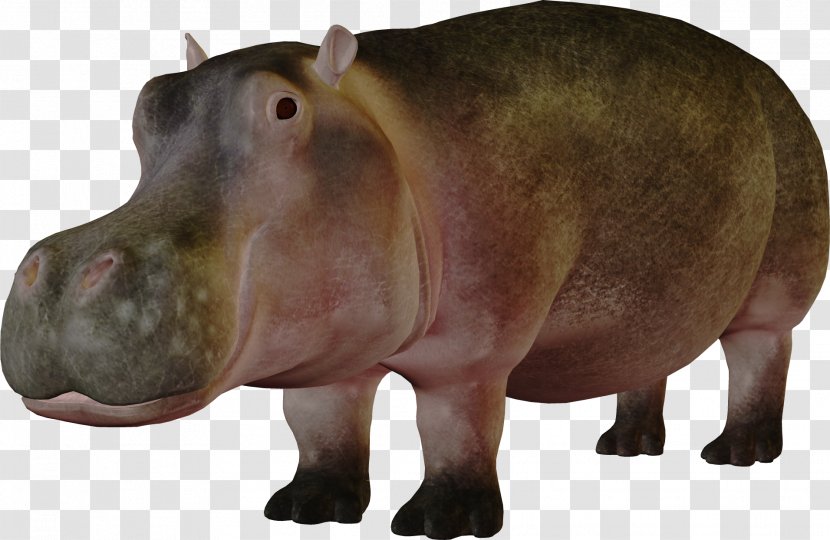 Hippopotamus Clip Art - Elephant - Hippo Transparent PNG
