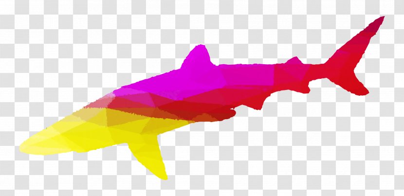 Shark Pink M Marine Mammal Silhouette Transparent PNG