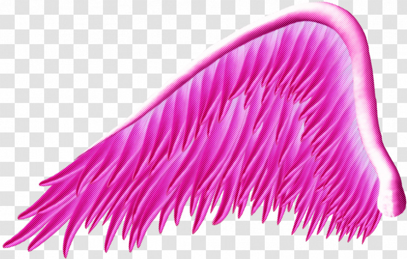 Feather Transparent PNG