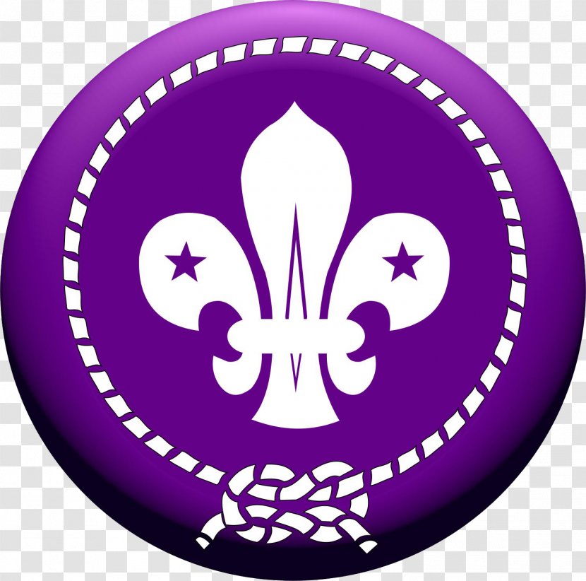 Scouting For Boys World Organization Of The Scout Movement Association Boy Scouts America - Troop Transparent PNG