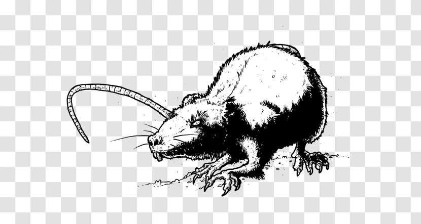 Rat Mouse Whiskers Beaver Cat - Character Transparent PNG