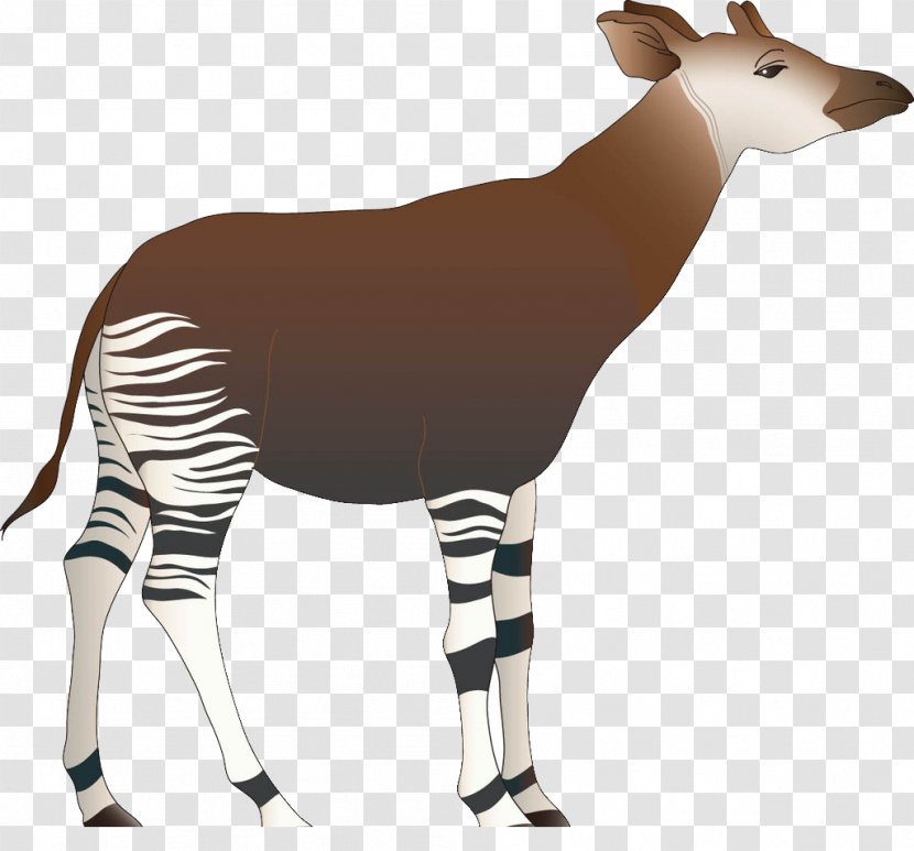 Cabrito Goat Okapi Giraffe - Fauna - Hand-painted Deer Transparent PNG