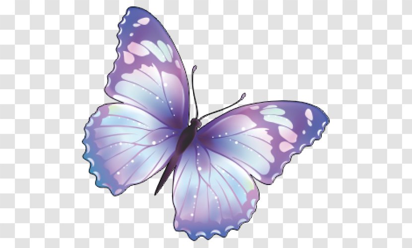 Butterfly Clip Art - Lilac Transparent PNG