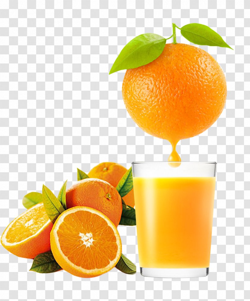 Orange Juice Clementine Drink Tangerine - Lime - Fresh Fruit Oranges Transparent PNG