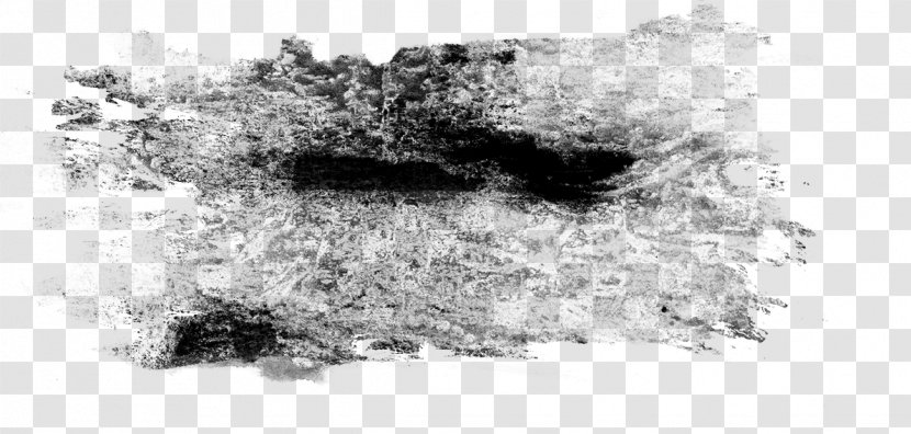 Drawing Tree /m/02csf Geology Phenomenon - Black And White Transparent PNG