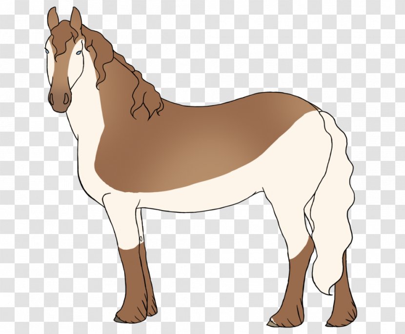 Mule Foal Stallion Mare Colt - Horse - Mustang Transparent PNG