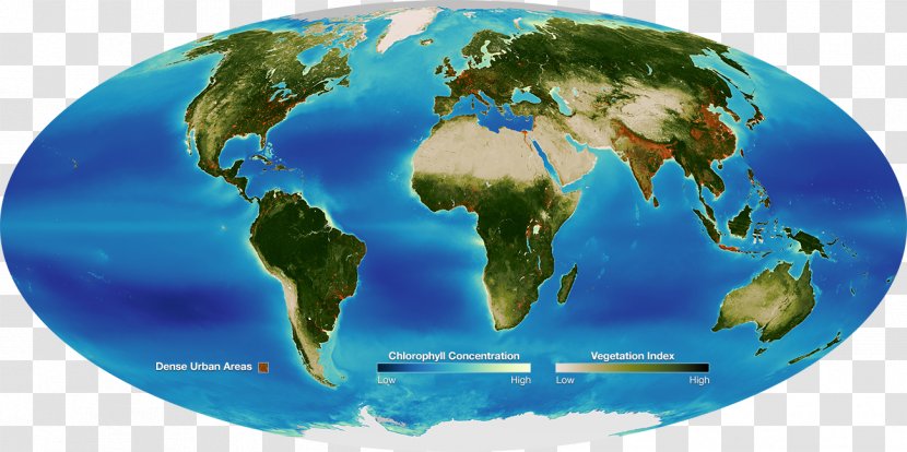 Earth Biosphere Science SeaWiFS Life - Corals Transparent PNG