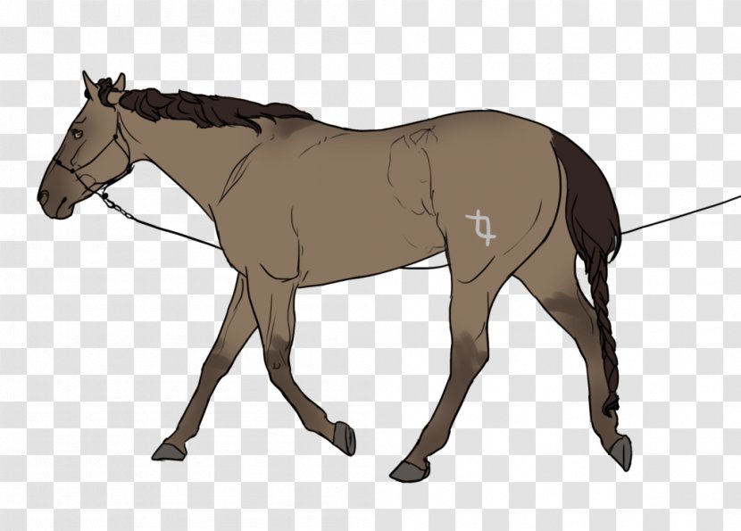 Mule Rein Stallion Horse Harnesses Mustang Transparent PNG