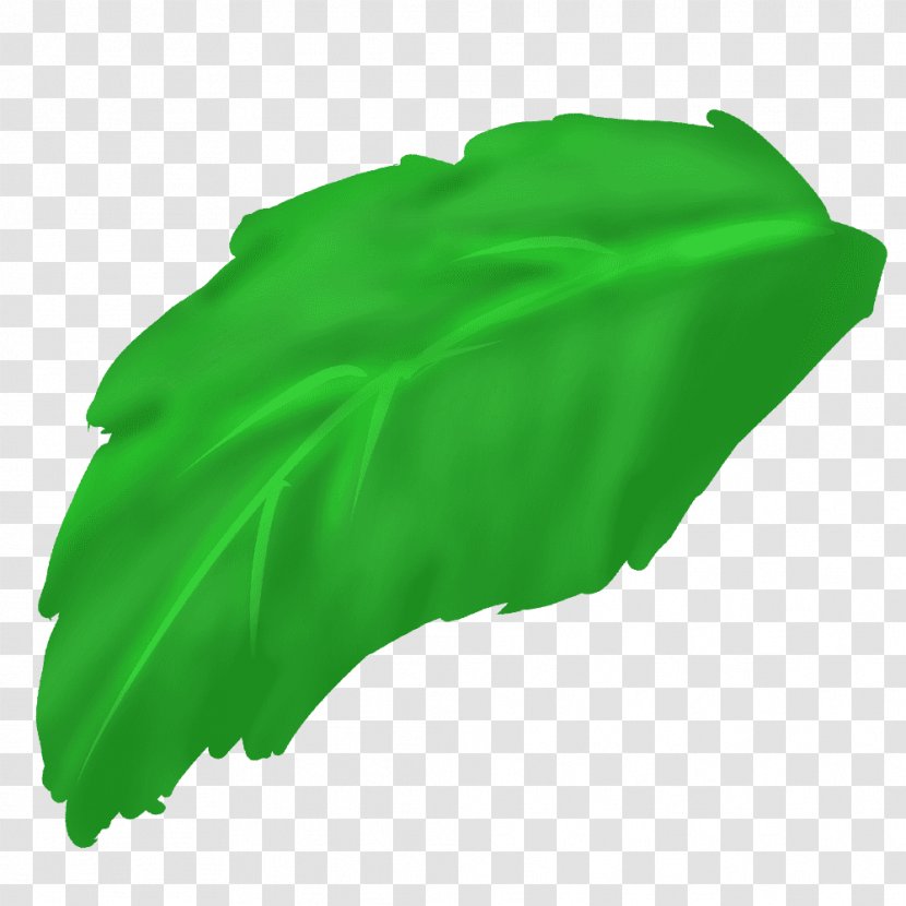 Green Leaf - Grass Transparent PNG