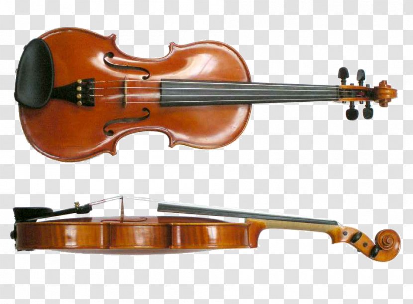 Musical Instruments Violin String Viola - Flower Transparent PNG