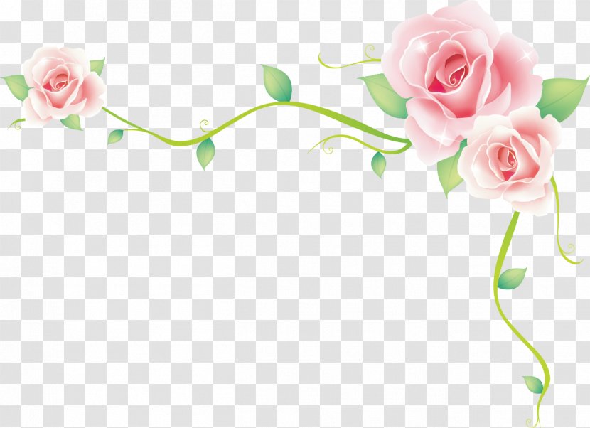 Rose Border Vector Sea - Flowering Plant - Pattern Transparent PNG