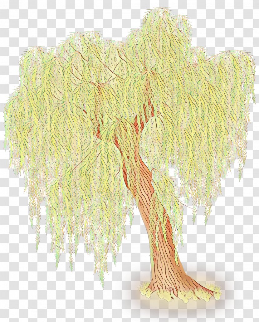 Tree Woody Plant Branch Willow - Trunk Transparent PNG