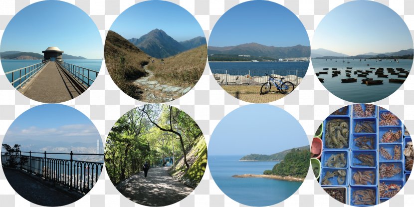 Travel Literature Tourism CouchSurfing Hong Kong - Pilgrimage Transparent PNG