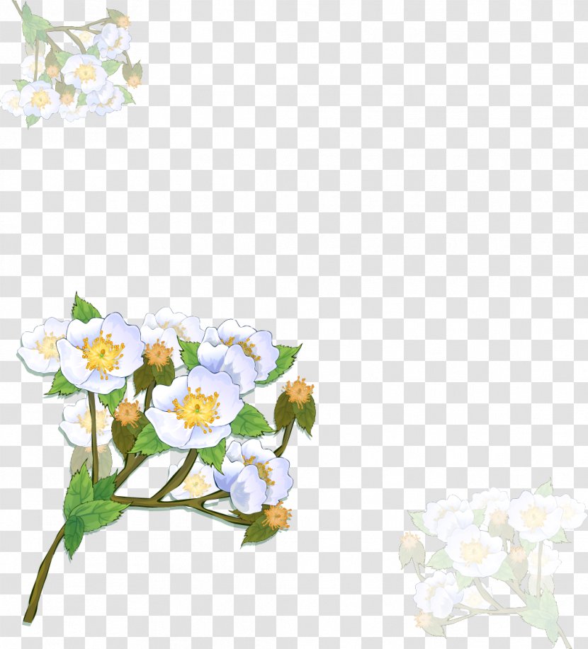 Flower Picture Frames Photography Clip Art - Spring Transparent PNG
