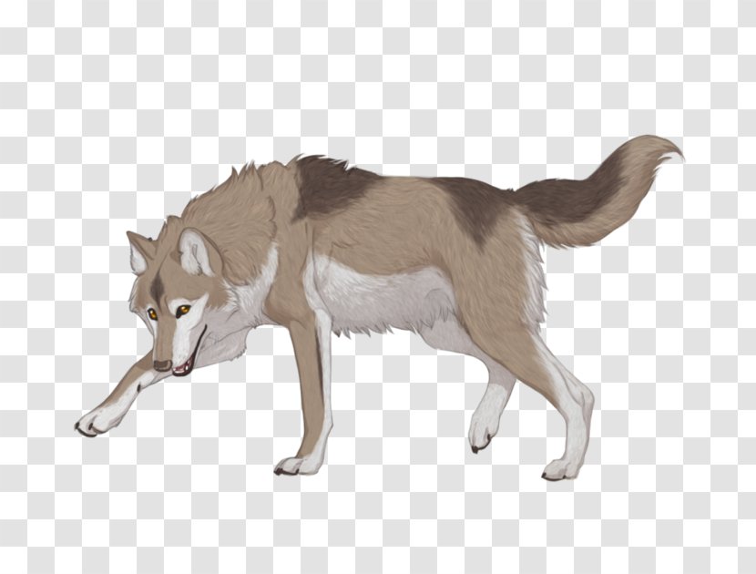 Saarloos Wolfdog Czechoslovakian Siberian Husky Seppala Sleddog Dog Breed Transparent PNG