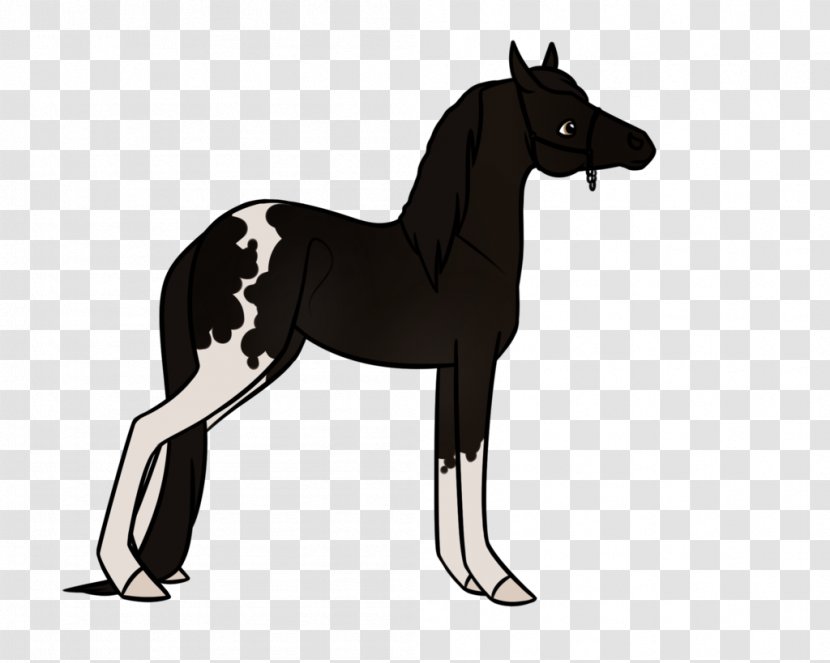 Mule Foal Stallion Pony Colt - Mammal - Tennessee Walking Horse Transparent PNG