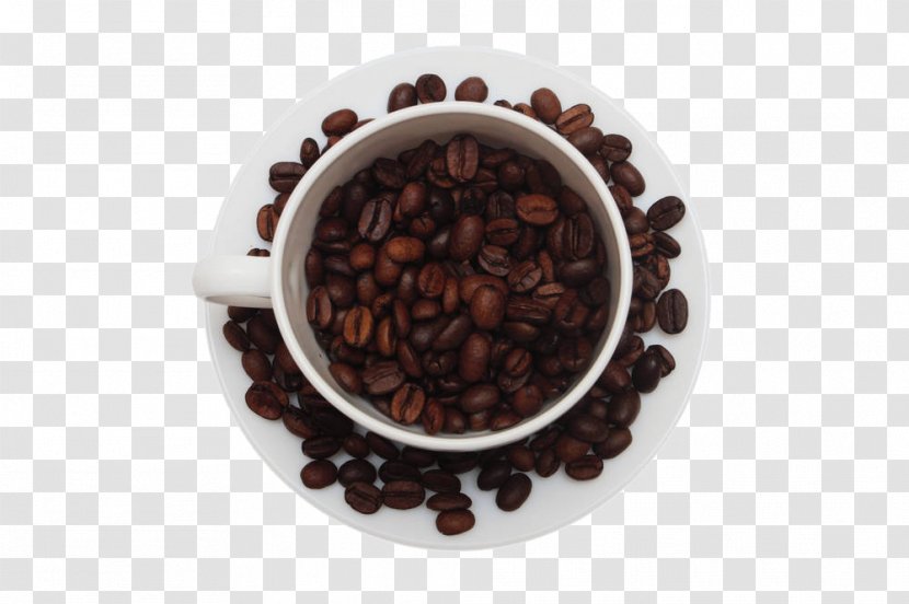Arabica Coffee Cappuccino Bean - Tea Leaf - The Beans In White Cup Transparent PNG