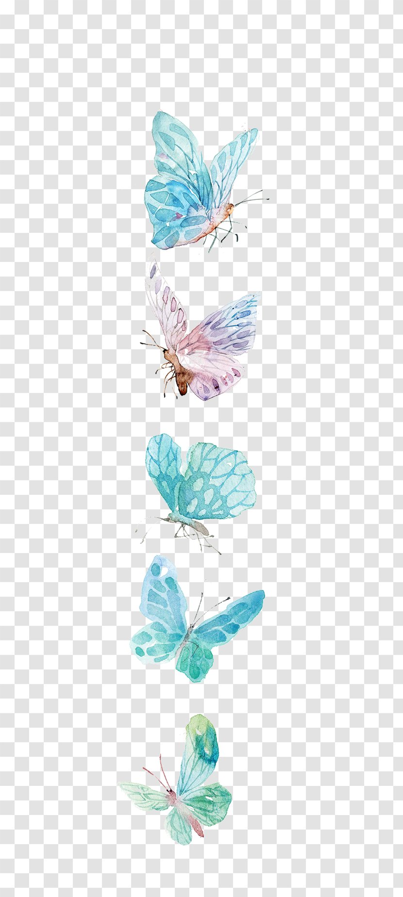 Butterfly Icon - Drawing - Watercolor Transparent PNG