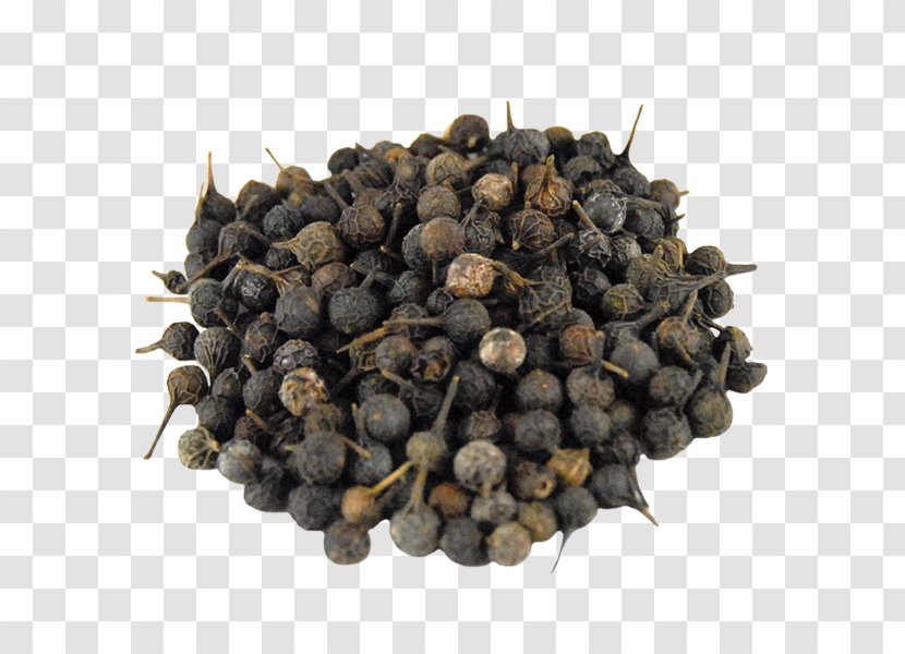 Cubeb Gin Black Pepper Coriander Spice - Mustard Plant Transparent PNG