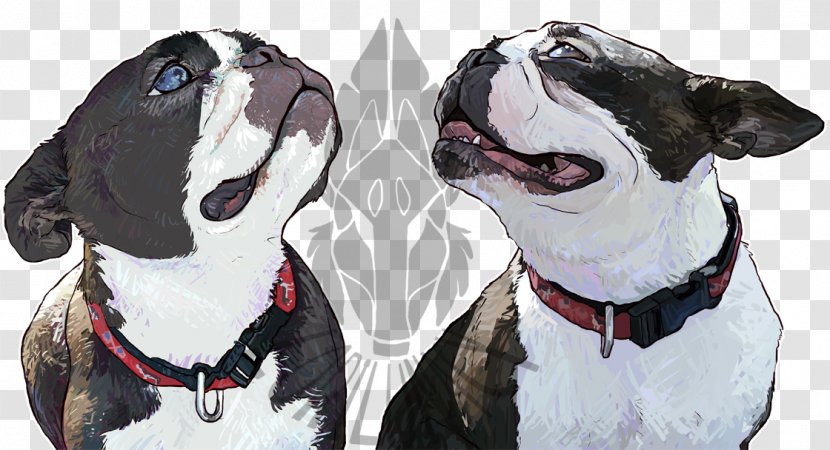 Boston Terrier Dog Breed Non-sporting Group Snout Leash - Non Sporting - Carnivoran Transparent PNG