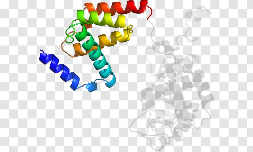 Protein Structure Clip Art - Text - Design Transparent PNG