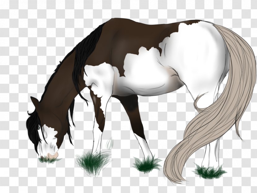 Mustang Stallion Foal Colt Halter - Mythical Creature Transparent PNG