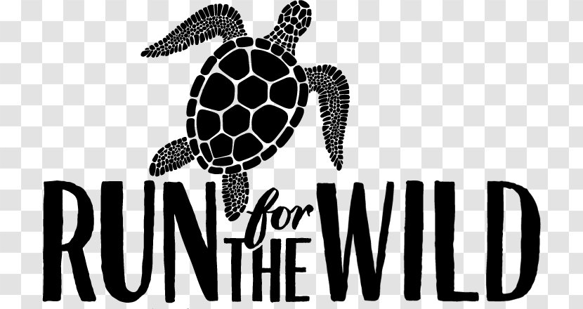 Sea Turtle Tortoise Logo Douchegordijn - Brand - Running Transparent PNG