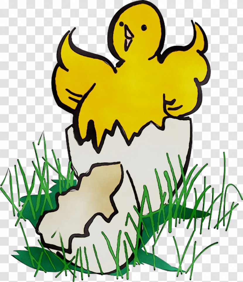 Fowl Chicken Bird Infant Clip Art - Fictional Character Transparent PNG