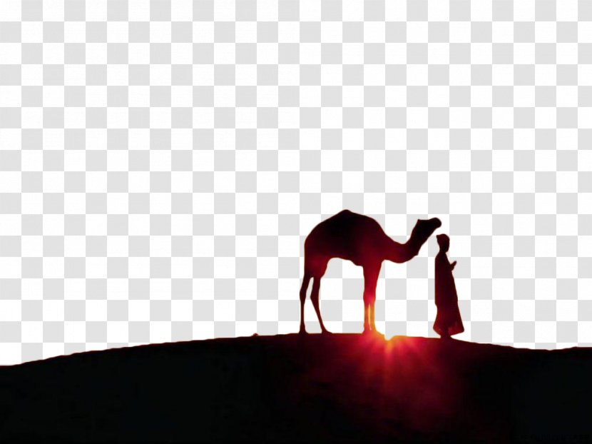 Ramadan Eid Al-Fitr Mubarak Muslim Jumuatul-Wida - Aladha - Sunset Under The Camel Transparent PNG