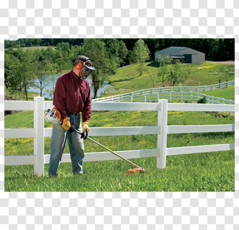 String Trimmer Brushcutter Stihl Lawn Hilbert's Equipment & Welding - Business - Lefe Transparent PNG