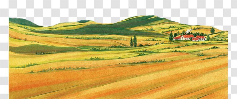 The Wheat Field Rural Area Transparent PNG