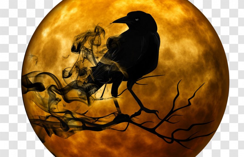 Narrative YouTube Halloween Ghost Story - Haunted House - Crow Transparent PNG