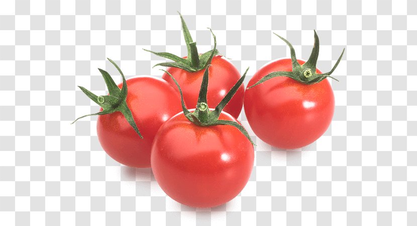 Plum Tomato Food Bush Vegetarian Cuisine - Local - Tomaten Und Paprika Transparent PNG