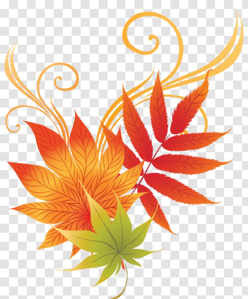 Leaf Autumn - Drawing - Decal Transparent PNG