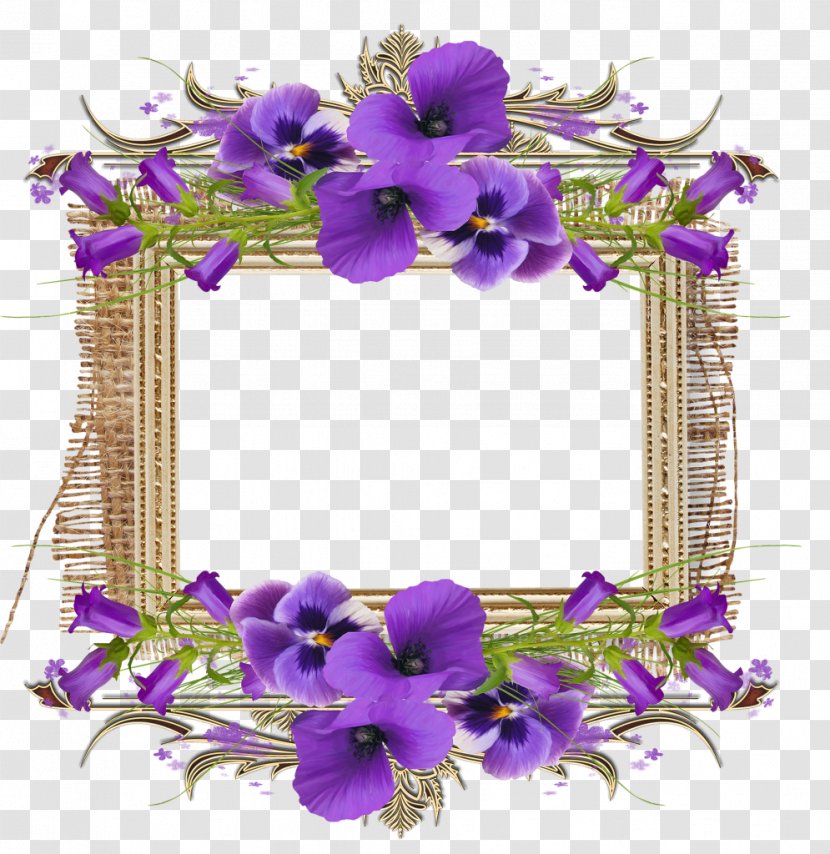 Violet Clip Art - Cut Flowers - Fuchsia Frame Transparent PNG