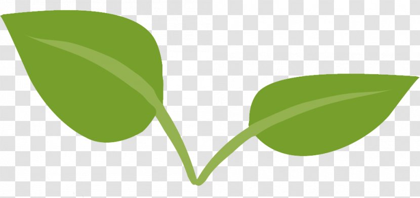 Leaf Sustainability Ecology - Hierarchy Transparent PNG