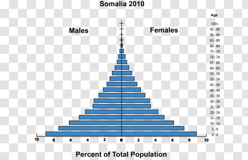 Somalia Total Fertility Rate Population Growth Demography - Child Transparent PNG