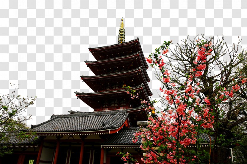 Sensu014d-ji Tourist Attraction - Japanese Architecture - Japan Sensoji Temple Transparent PNG