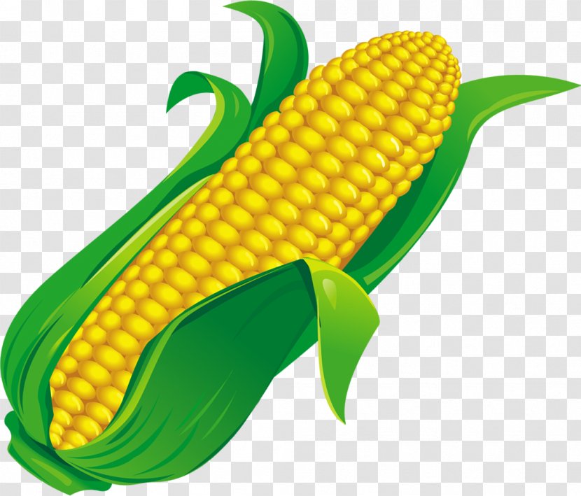 Corn On The Cob Maize Food Ingredient - Cereal Transparent PNG