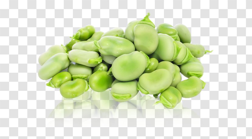 Lima Bean Broad Vegetable Food - Commodity Transparent PNG