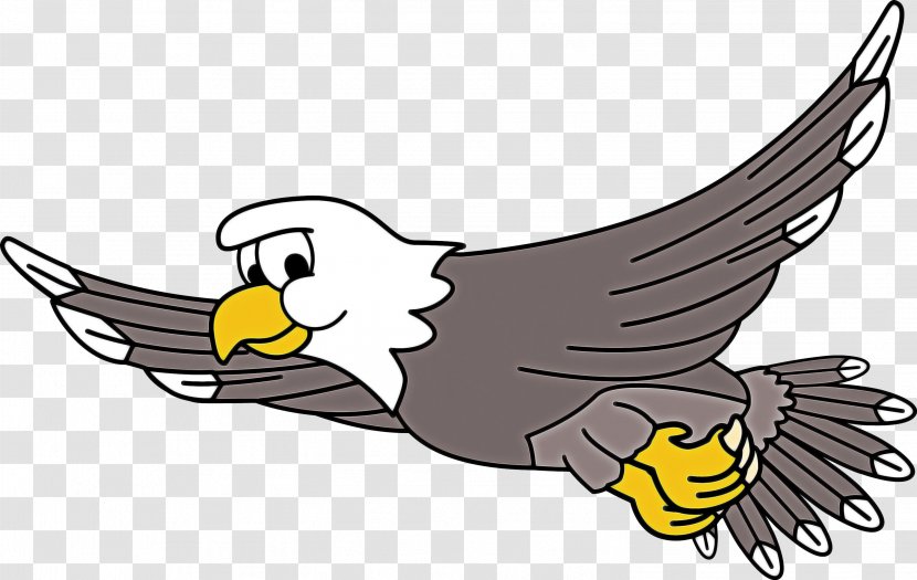Eagle Logo - Accipitridae Bird Of Prey Transparent PNG