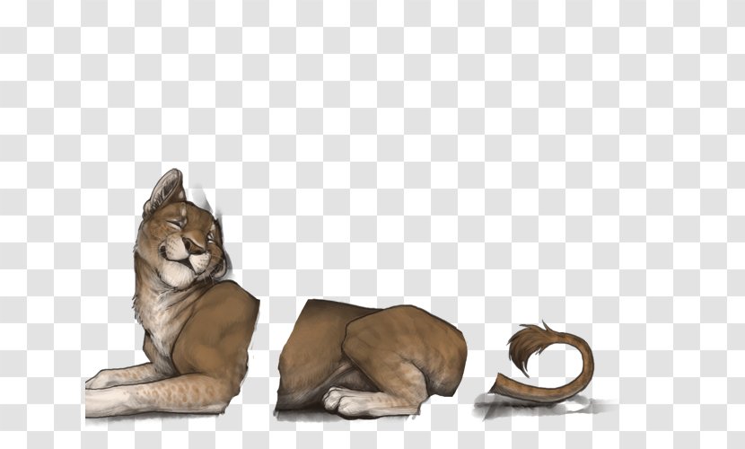 Big Cat Cougar Dog Fur - Like Mammal Transparent PNG