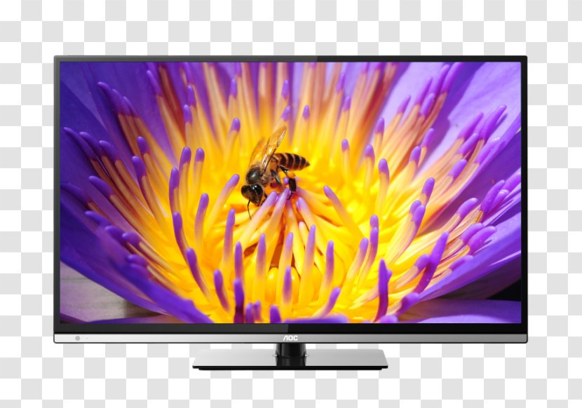 LED-backlit LCD AOC International Television Set Liquid-crystal Display Backlight - Electronic Visual - Hd Lcd Tv Transparent PNG