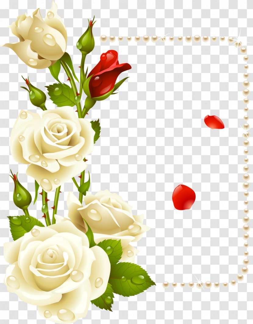 Rose Borders And Frames Flower Drawing Clip Art - White Roses Transparent PNG