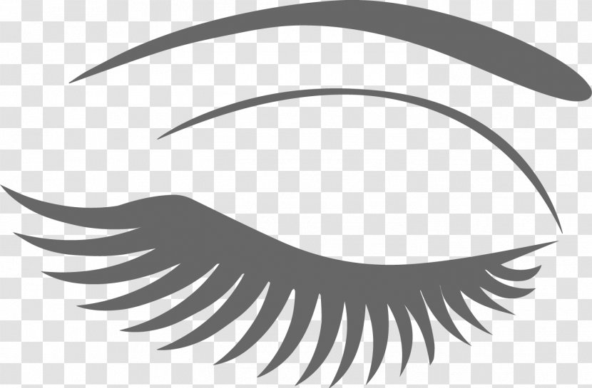 Eyelash Extensions Clip Art - Frame - Eyelashes Transparent PNG