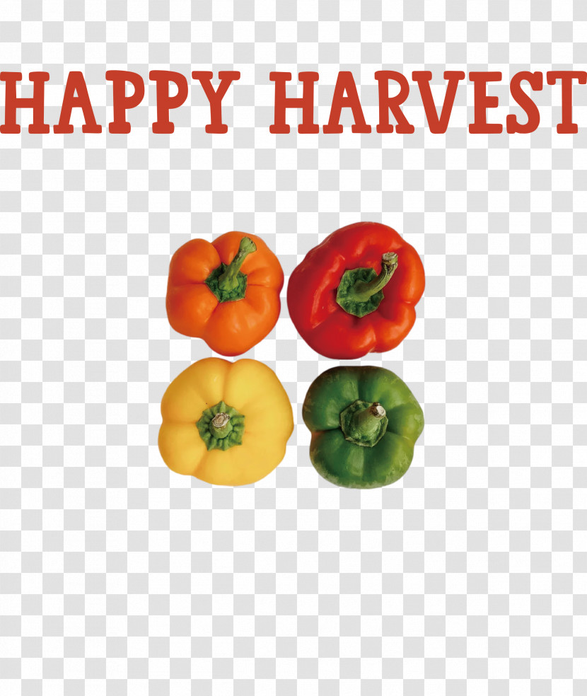 Happy Harvest Harvest Time Transparent PNG