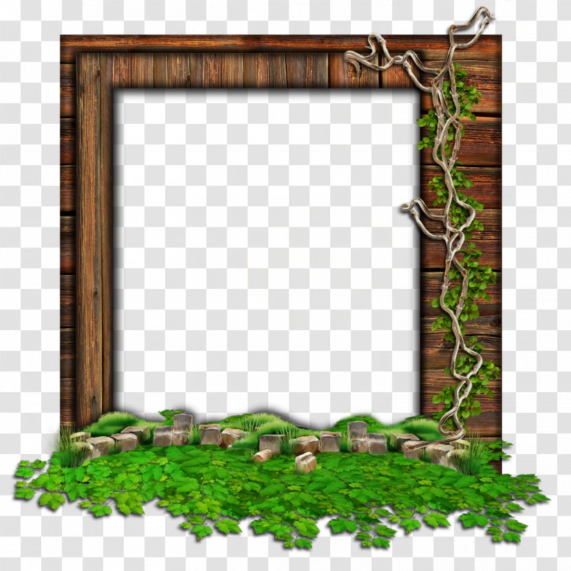 Picture Frames Window - Nature Transparent PNG